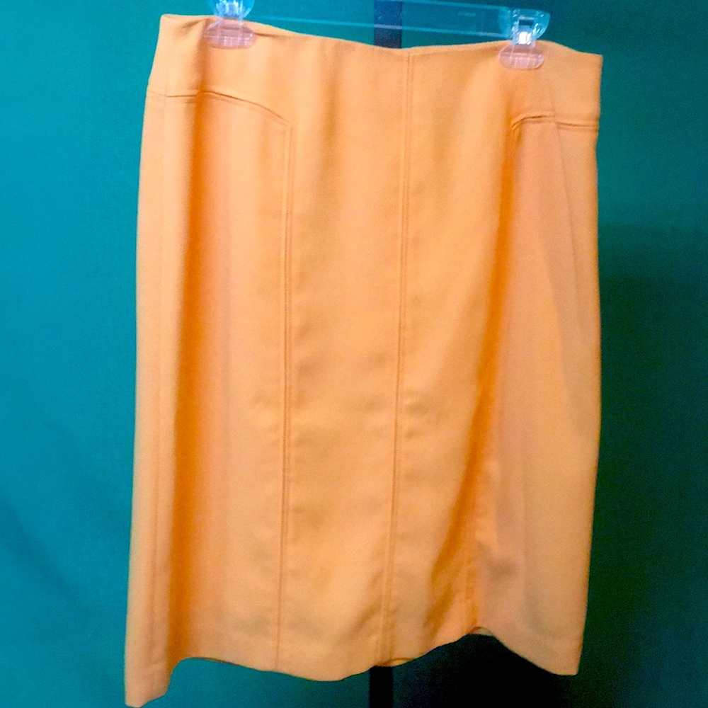 Beautiful skirt